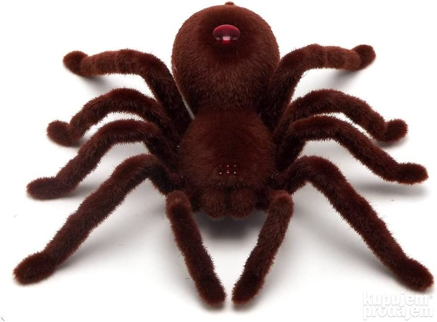 Rc pauk na daljinski tarantula - Rc pauk na daljinski tarantula