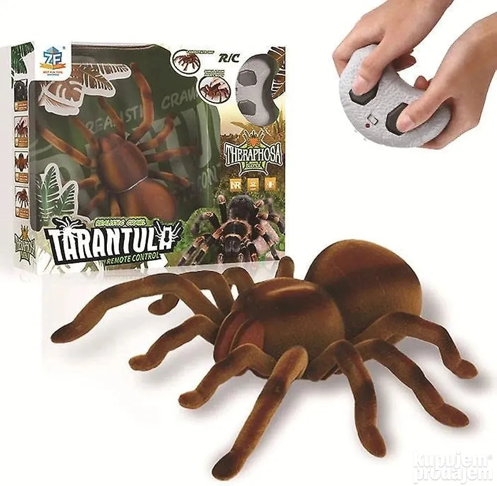 Tarantula na daljinski - Tarantula na daljinski