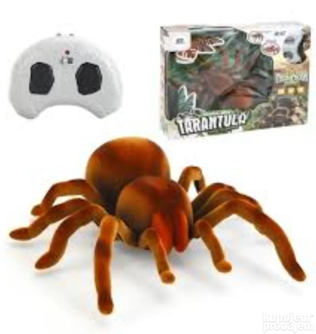 Tarantula pauk na daljinsko upravljanje 2K24M102 - Tarantula pauk na daljinsko upravljanje 2K24M102