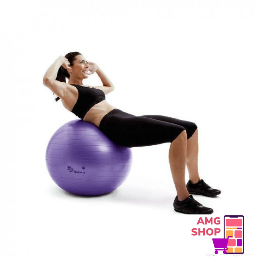 Flexi Gym Ball 65Cm -