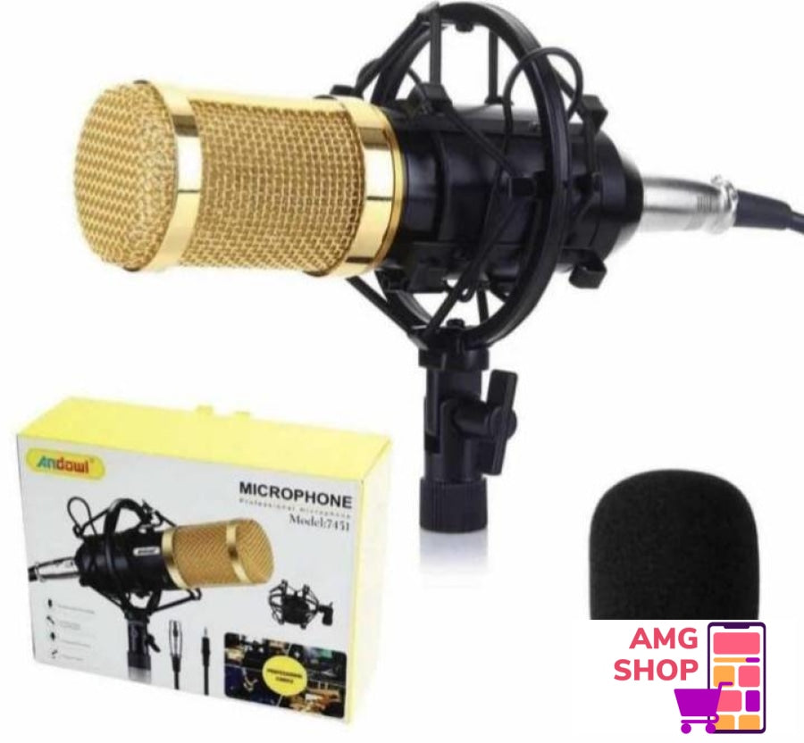 Kondenzator Mikrofon Andowl -