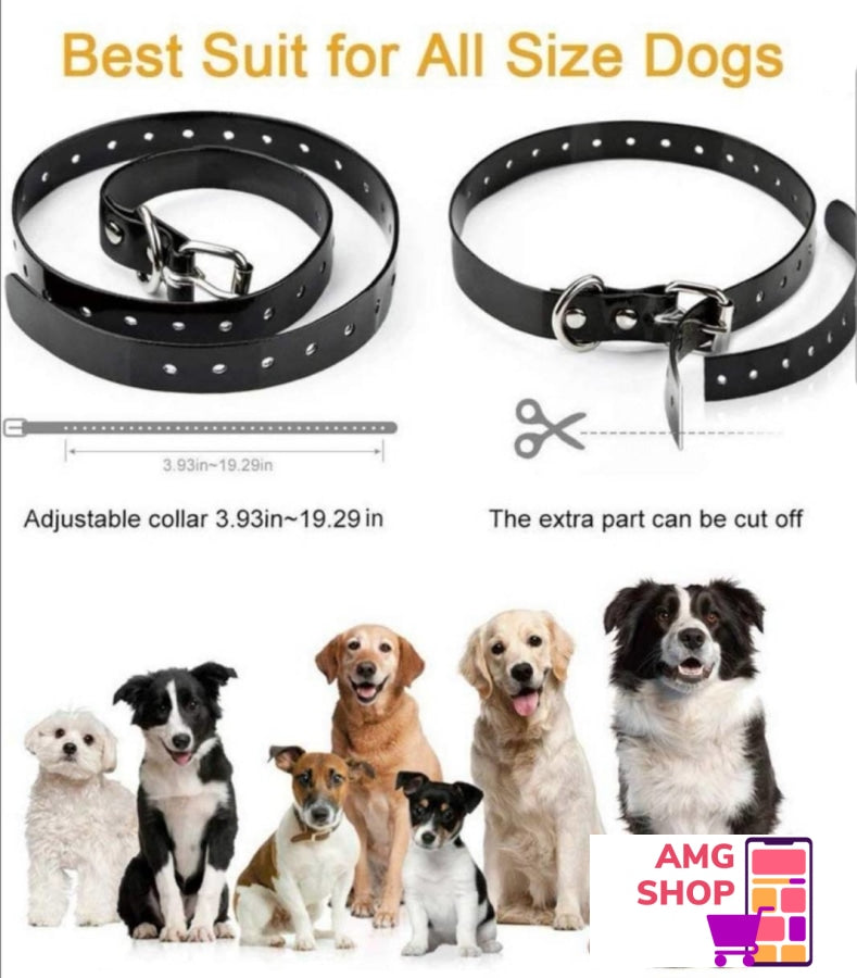Ogrlica Za Treniranje Pasa - Pse