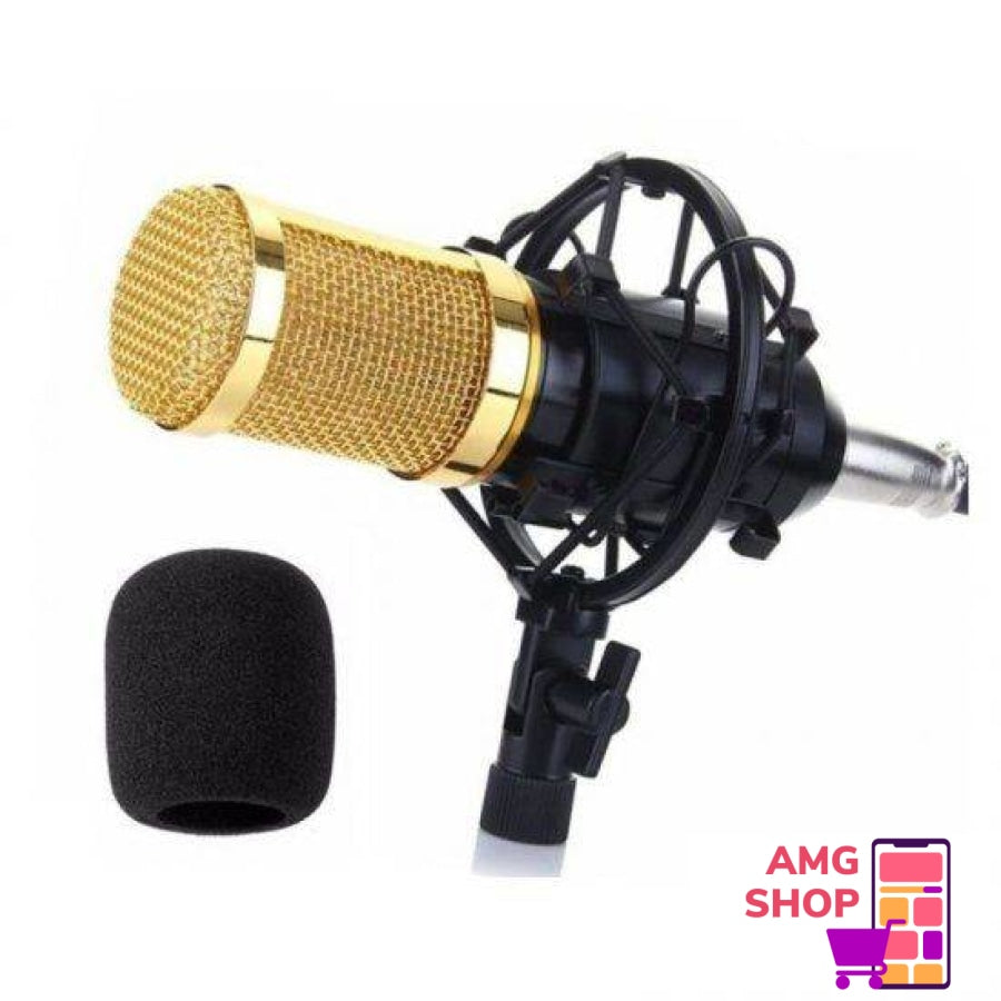 Profesionalan Mikrofon -