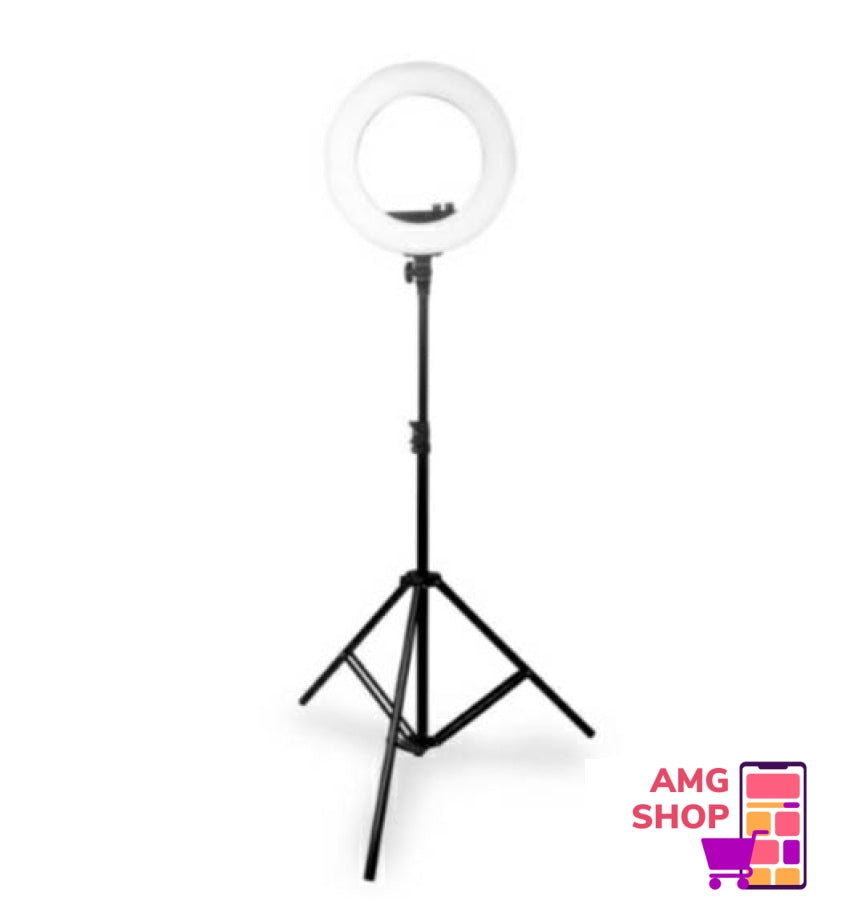 Ring Light 8 Sa Stalkom -